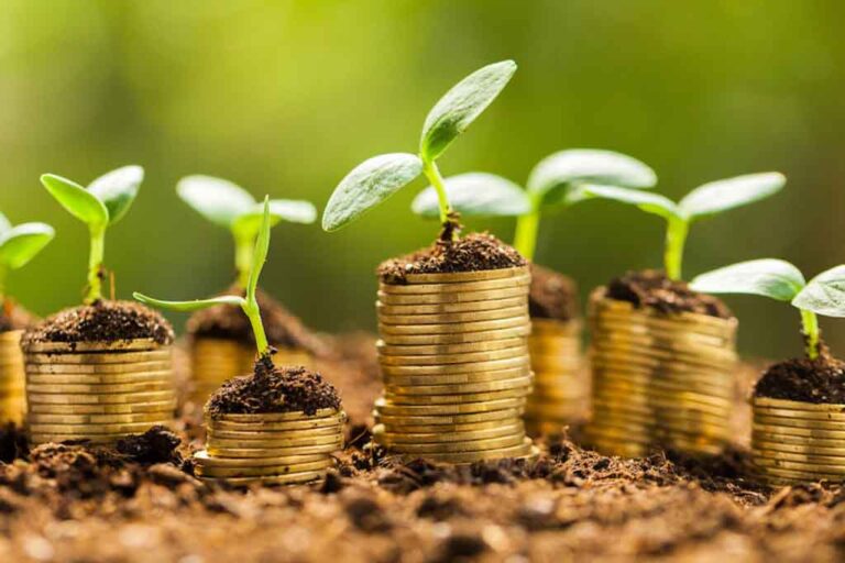 Government to regulate Sri Lanka’s micro finance sector soon