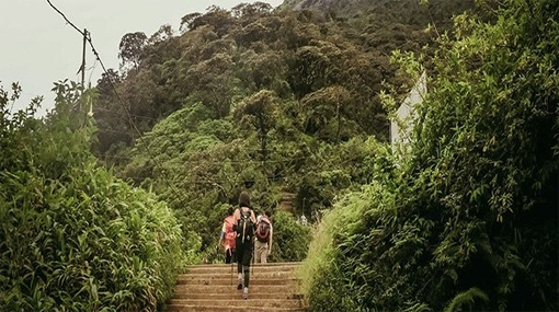 Foreign Tourist Arrivals Surge to Over 800,000 This Year