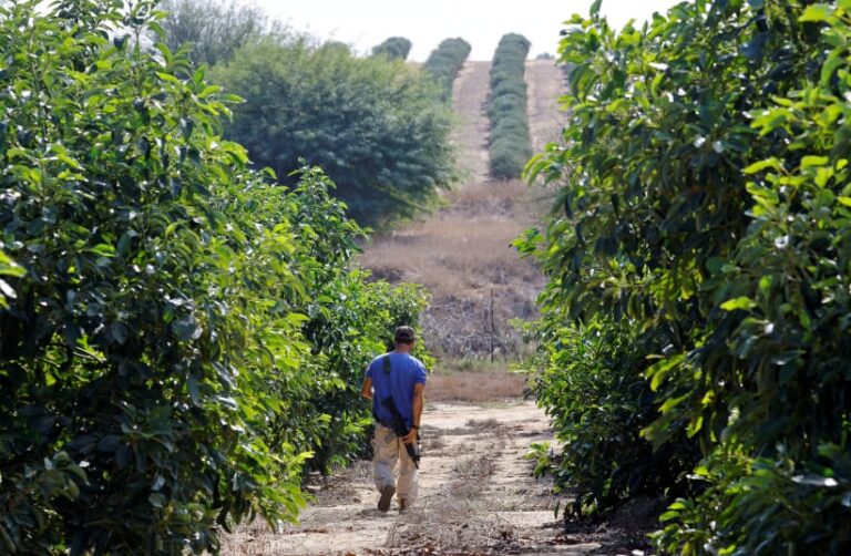 Sri Lankan workers fill void in Israeli labour market triggered by armed conflict