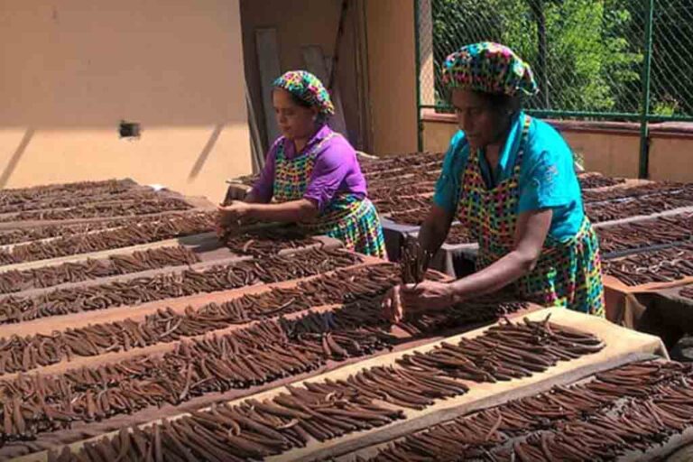 Export Development Board to enhance export potential of SMEs