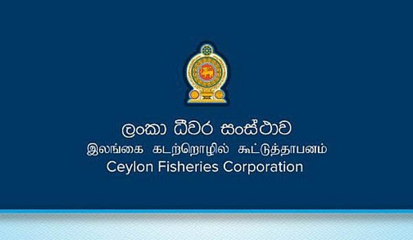 Fisheries Corporation faces financial drain of Rs.100 mn monthly due to alleged middlemen practices