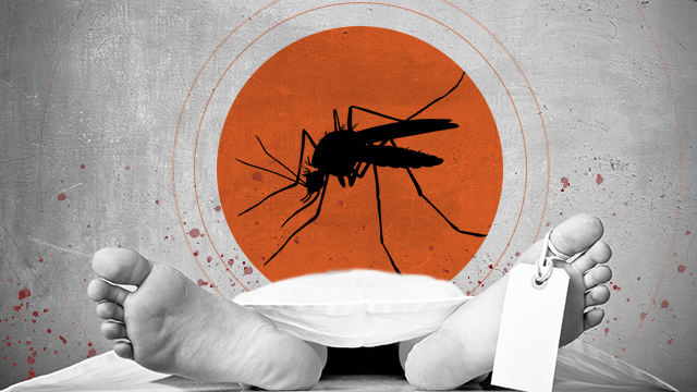 Dengue situation: 03 deaths and over 7k cases within first 20 days of 2024