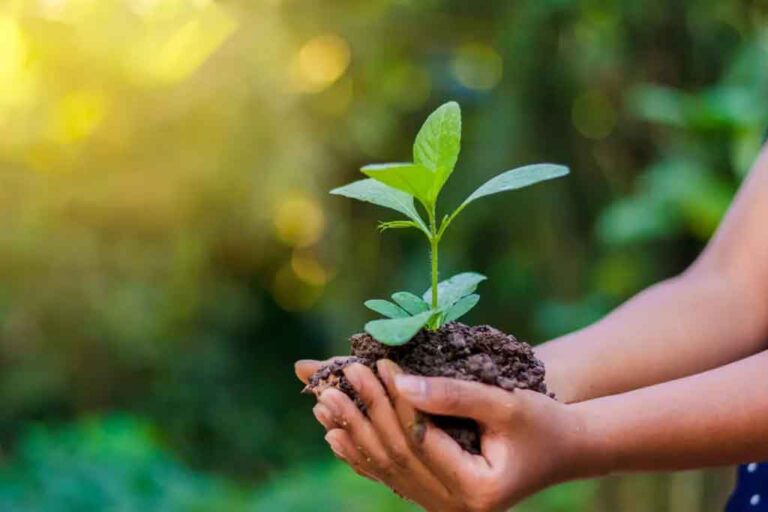 Sri Lanka faces environment conservation crisis