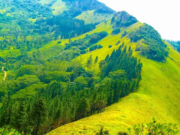 Rescue operation retrieves 180 uni students lost in Hanthana Mountains