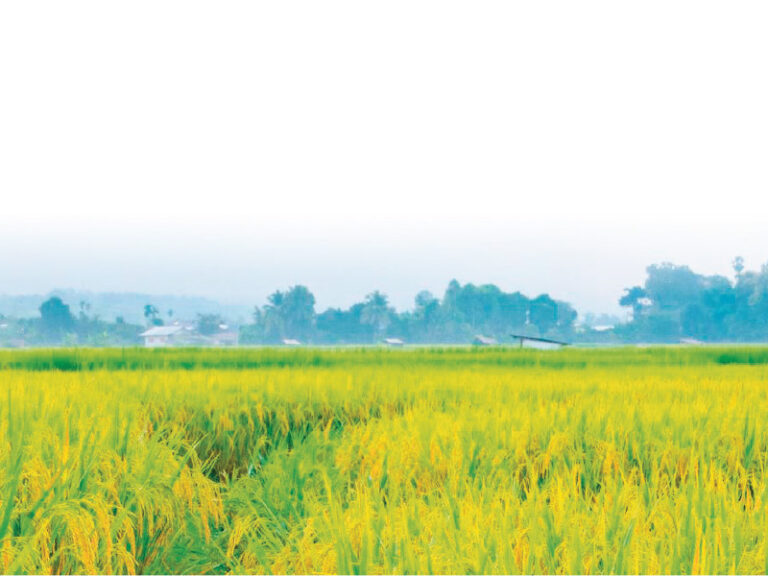 Farmers’ Trust Fund fails to utilise a substantial sum of Rs 5.4 billion