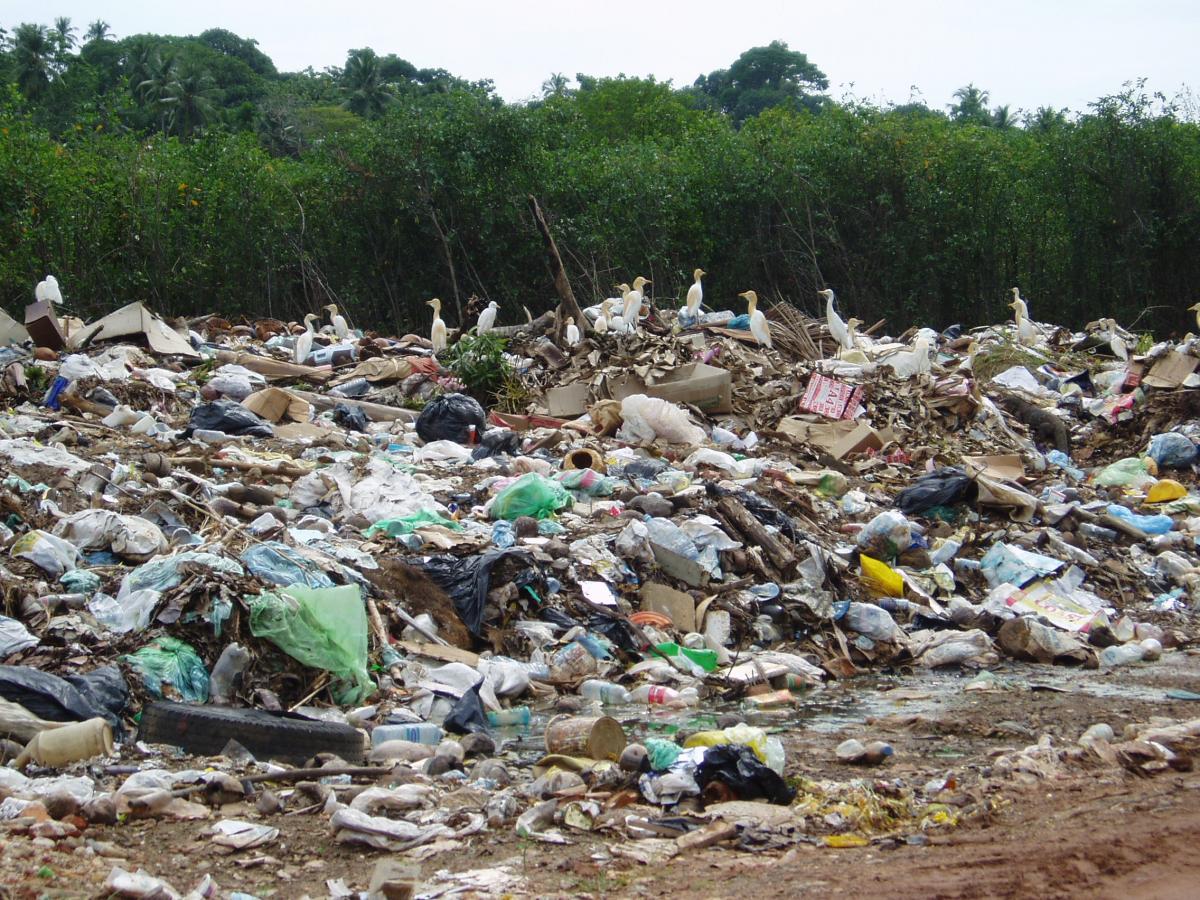 Sri Lanka to tackle plastic waste menace from pollution to solution