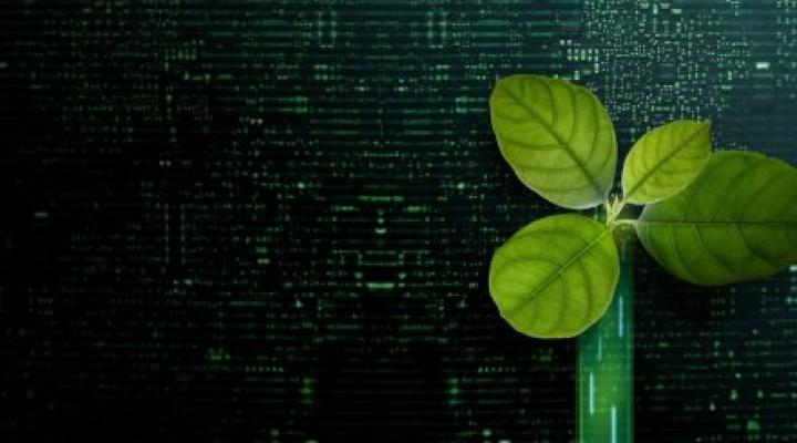 Sri Lankan outfit plans to launch carbon credit marketplace in 2024.