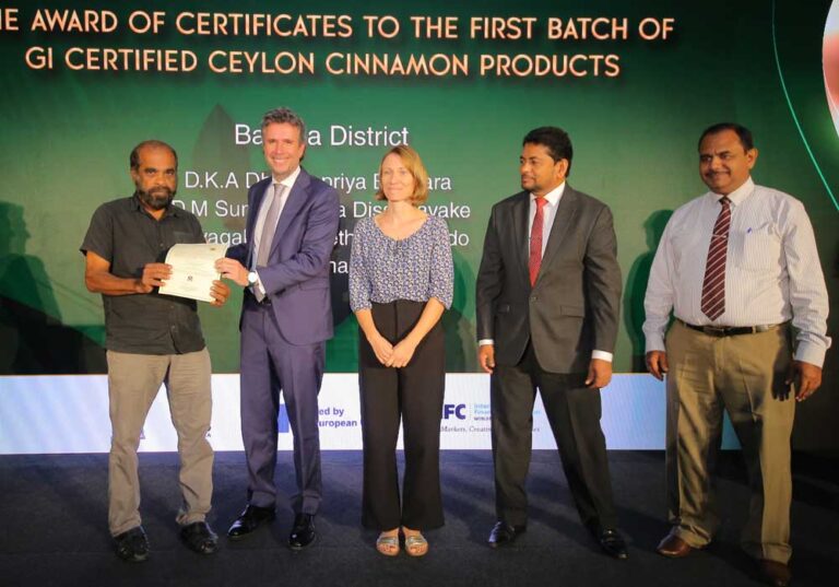 Sri Lanka cinnamon farmers get GI-certification with IFC support