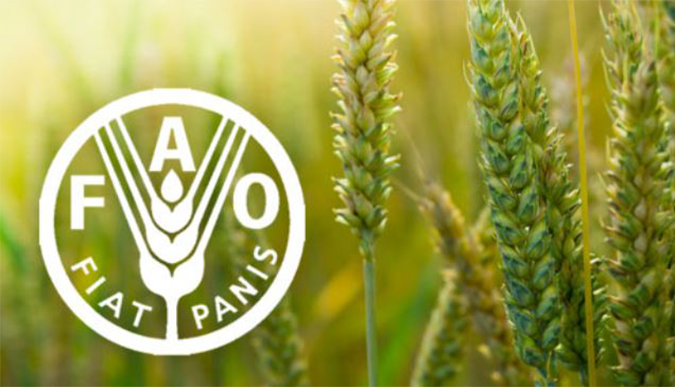 Netherlands Strengthens Agricultural and Educational Collaboration with Sri Lanka