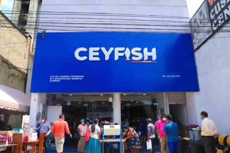 National audit office exposes Fisheries Corporation’s marketing irregularities