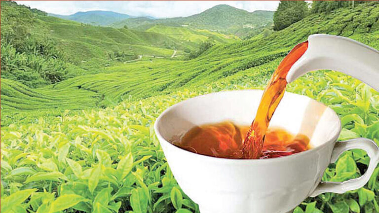 Sri Lanka Plans to Broaden Tea Industry Strategy.
