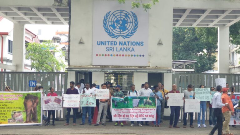 Environmental activists demand international support to address human-elephant conflict (PHOTOS)