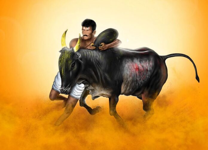jallikattu
