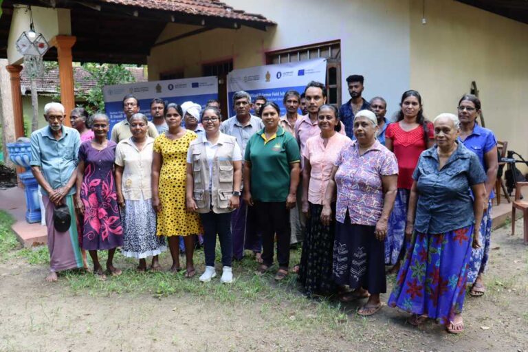 ‘RiceUP’ an EU, FAO initiative to help Sri Lanka to become the ‘Granary of the East’ again