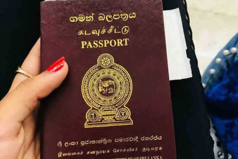 Over 26,000 expatriates await passport renewal amid ongoing delays