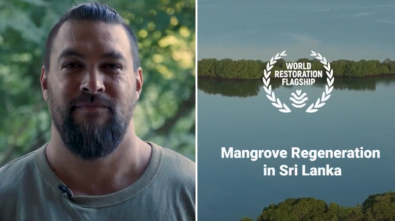 Aquaman Hollywood star Jason to explore Sri Lanka’s environmental efforts