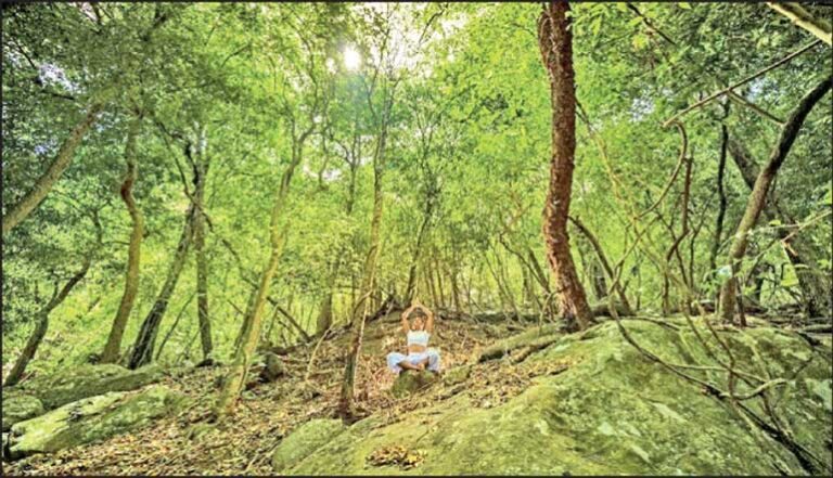 Sri Lanka to be promoted as premier wellness destination in France/Germany