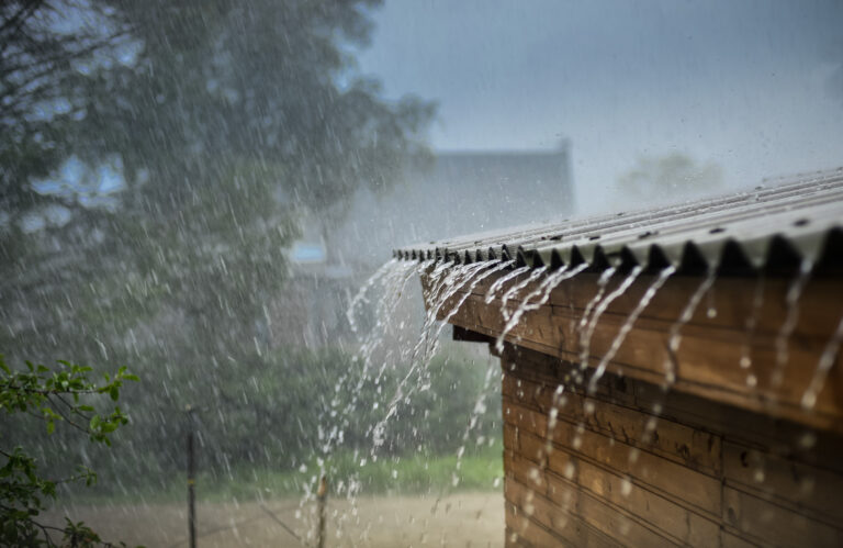 Showery and windy conditions expected to enhance during the next few days