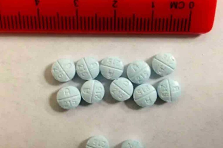 STF seizes massive stock of narcotic pills in Wattala raid