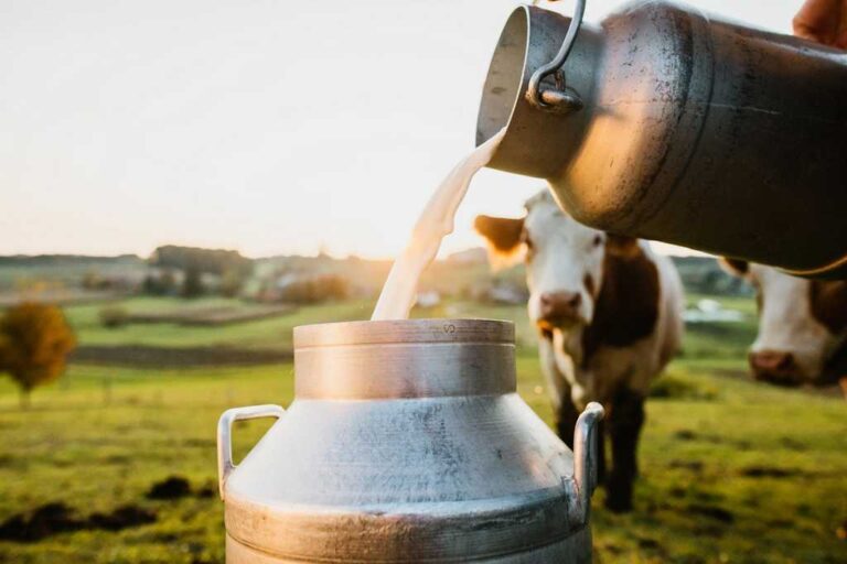 Sri Lanka’s Dairy Sector gets a boost via Browns,. DFCC Bank, and MOD Partnership