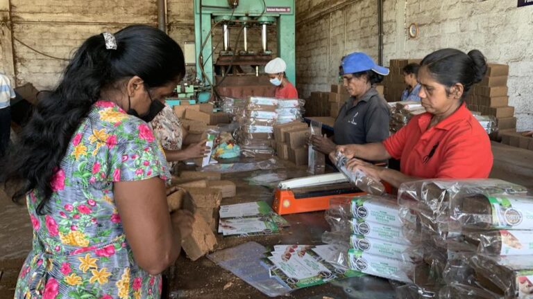 Sri Lanka to sign cooperation agreement with IFC to boost SME exporters