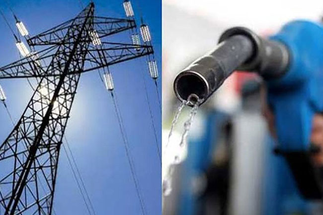 Gazette declares electricity and petroleum services essential