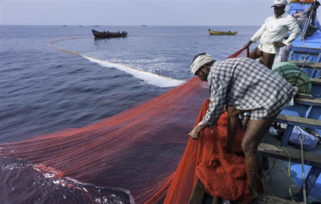 Illegal fishing in Sri Lanka waters turns into grave conflict