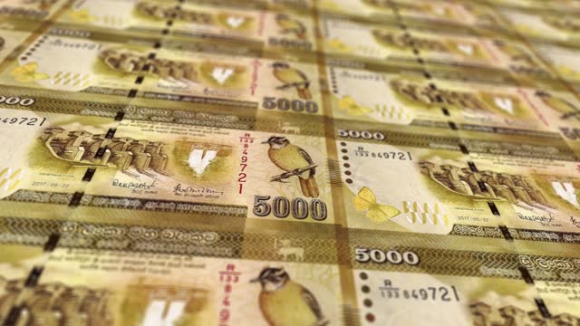 Government to Increase Mahapola Scholarship and Bursary Premiums from April 2025