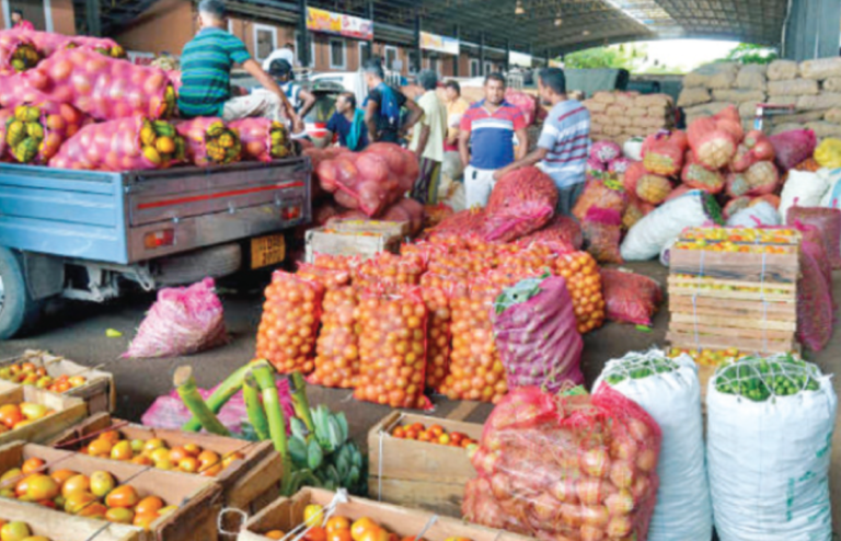 Vegetable Prices Plummet to 10-Year Low at Dambulla Economic Centre