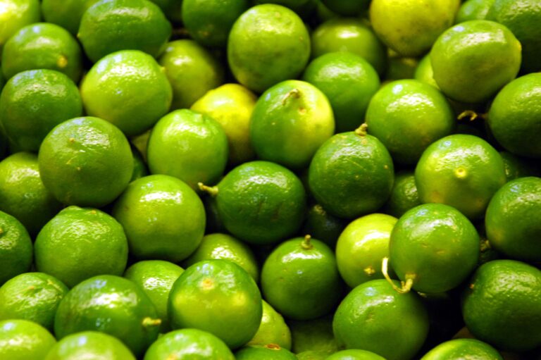Farmers struggle as lime prices soar due to middlemen activities: Urgent calls for intervention