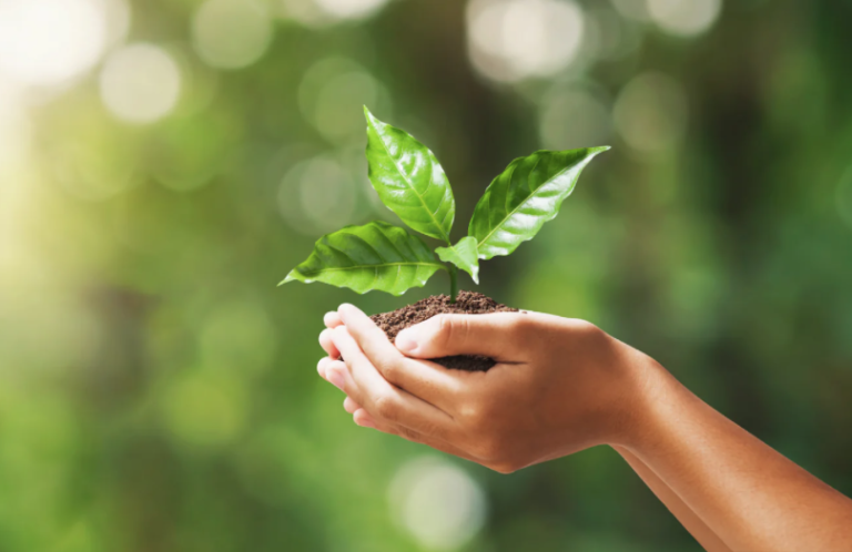 Eco friendly industrial zone to be set up at Kankesanthurai cement factory site.