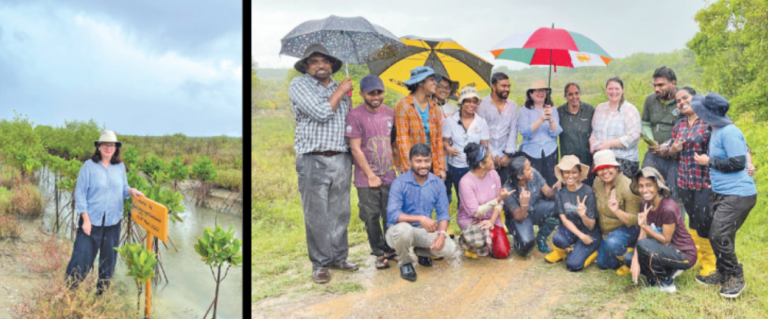 UK Envoy Inspects Mangrove Restoration at Anavilundawa Wetland Sanctuary