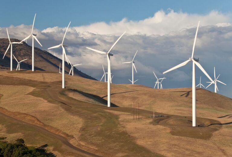 Govt approves development of 484 MW wind power stations in Mannar and Pooneryn