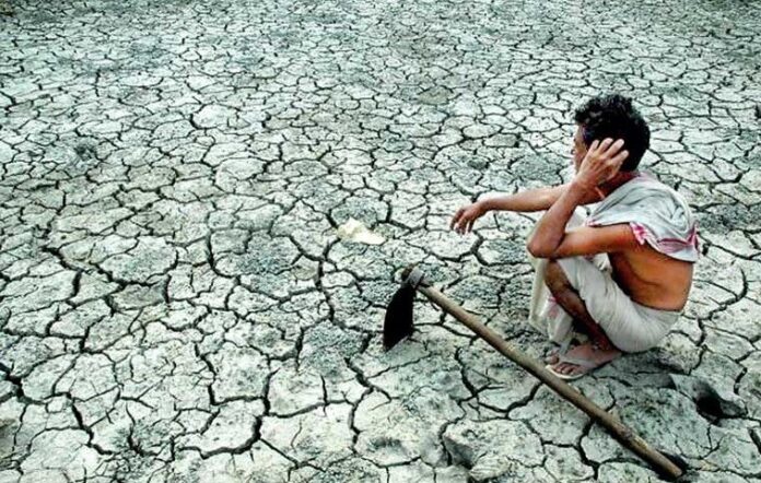 Drought affects over 90 individuals in Kilinochchi District - DMC