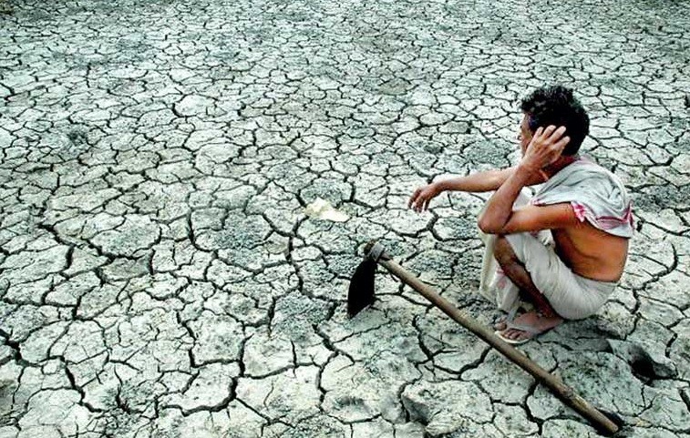 Drought affects over 900 individuals in Kilinochchi District: DMC