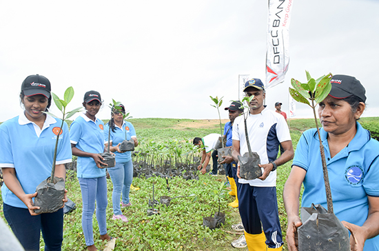 Mangrove planting initiative launched in Waikkala Lagoon to conserve coastal ecosystems
