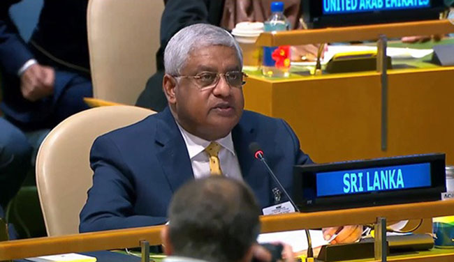 Sri Lanka offers expertise to UN for international peacekeeping efforts
