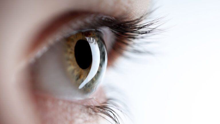 Sri Lanka resumes eye cornea donations to Pakistan after Covid hiatus