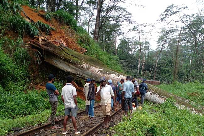 Tree blockages disrupt up-country railway services