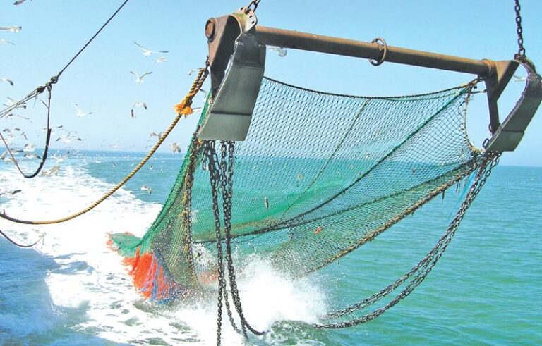 Sri Lanka’s marine ecosystems under threat from Indian fishing practices: NARA