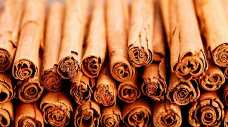 EU supports Sri Lanka’s Cinnamon development with IFC expertise