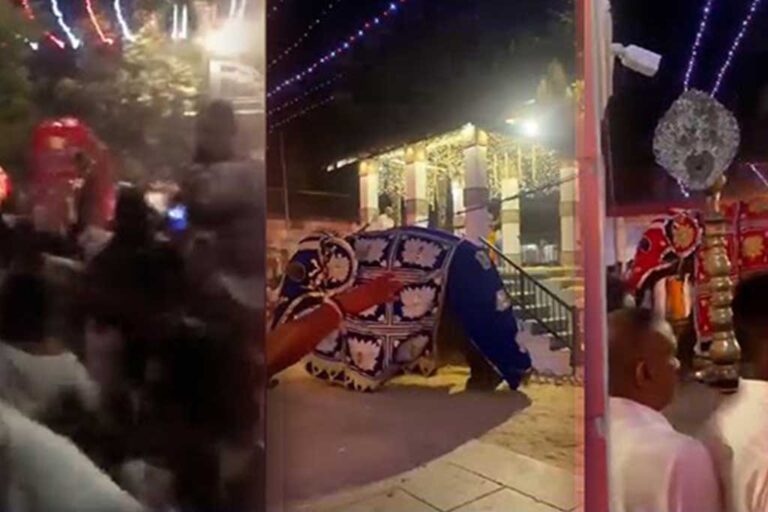 13 injured as elephant runs amok at Ruhunu Kataragama Maha Devala Perahera