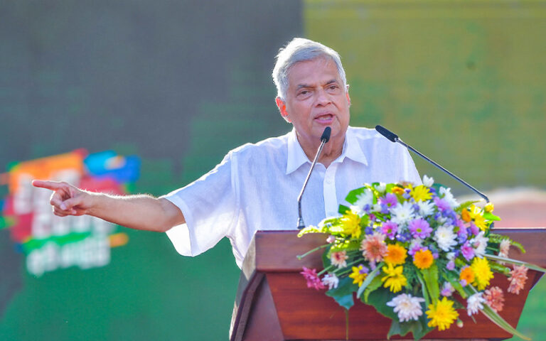 Ranil Wickremesinghe Stresses Need for Experienced Parliament to Tackle Economic Challenges