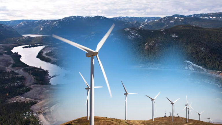 Adani Group receives temporary legal relief for Sri Lanka wind projects