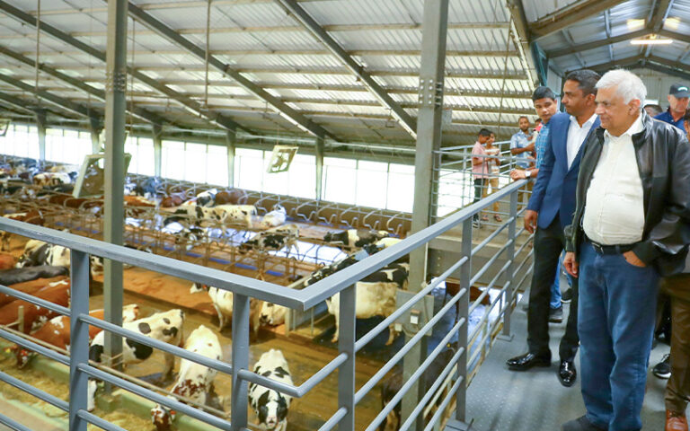 Ambewela Dairy Farm boosts production with new technology