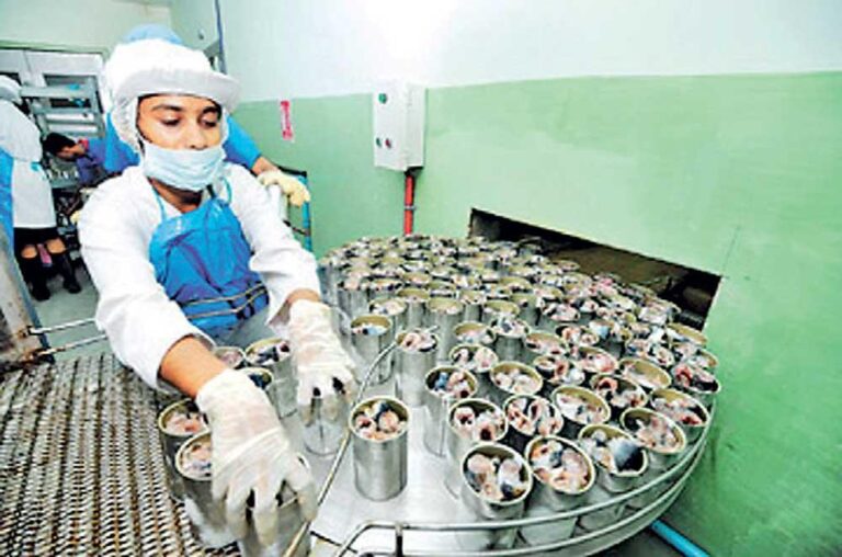 Fisheries Ministry Considers Canned Fish Import Ban after Spoiled Stock Found