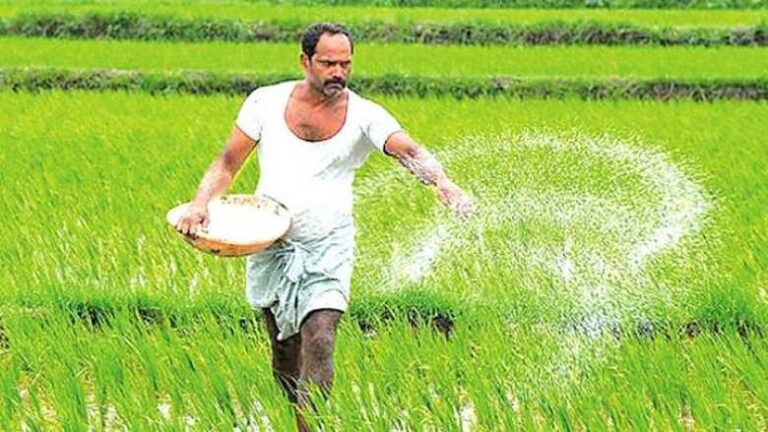 Govt approves fertiliser subsidies for 2024/25 Maha Season