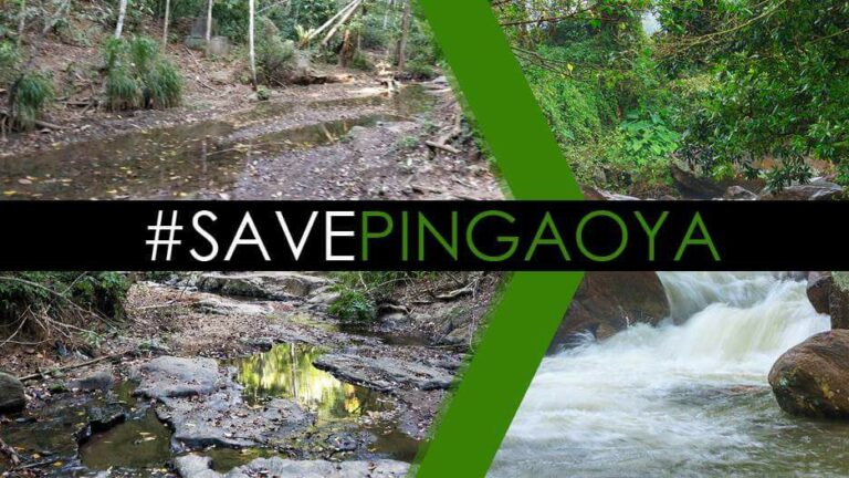 Kandy District takes legal action against polluters of Pinga Oya