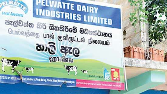 Pelwatte Dairy to Empower Women Farmers and Modernize Industry