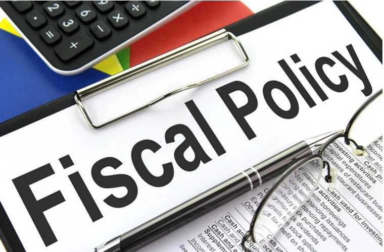 Government plays Critical Role of Revenue and Fiscal Reforms